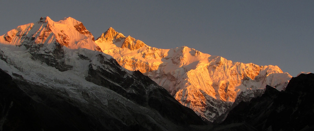 About TTH Foundation